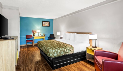 Room, 1 King Bed, Smoking