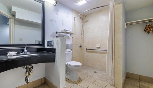 Standard Room, 1 King Bed, Accessible, Smoking