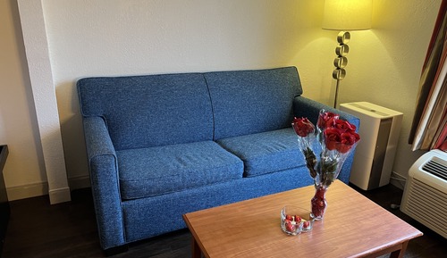Room, 1 King Bed, Accessible, Non Smoking