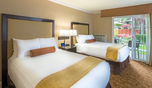 Basic Room, Multiple Beds