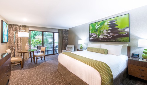 Room, 1 King Bed, Accessible