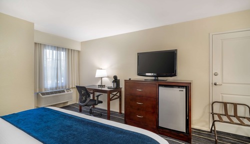 Standard Room, 1 King Bed, Non Smoking, Refrigerator