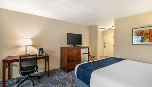Standard Room, 1 King Bed, Refrigerator, Courtyard Area