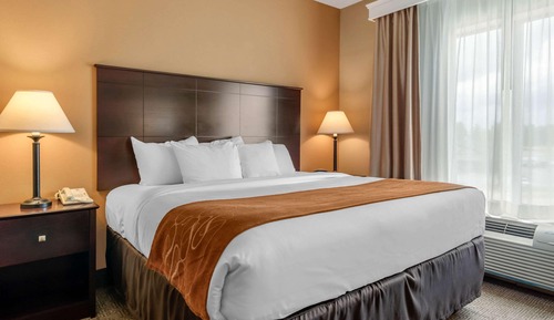 Suite, 1 King Bed with Sofa bed, Accessible, Non Smoking