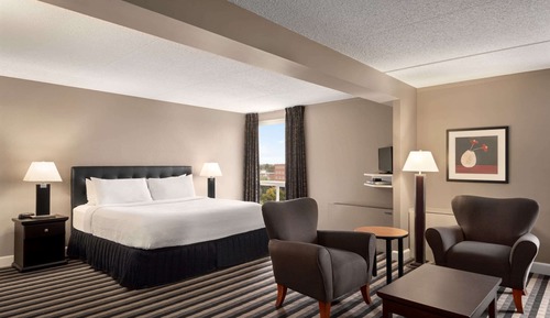 Suite, 1 King Bed, Non Smoking (No pet friendly)
