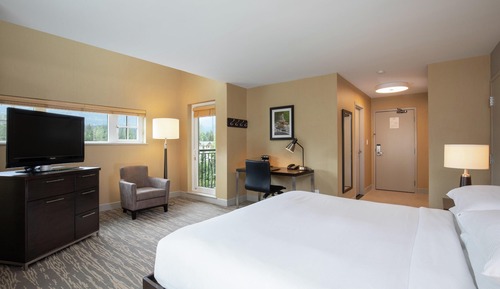 Hilton, Room, 1 King Bed, Balcony
