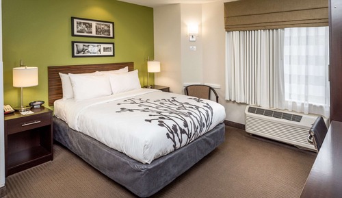 Standard Room, 1 Queen Bed, Non Smoking