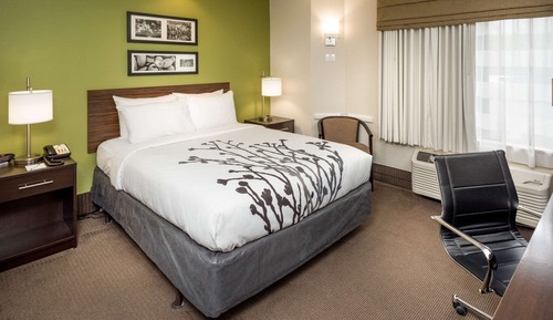 Room, 1 Queen Bed, Accessible, Non Smoking (Accessible Tub)
