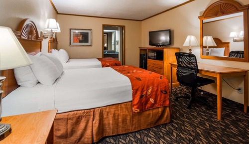 Standard Room, 2 Double Beds, Non Smoking, Microwave
