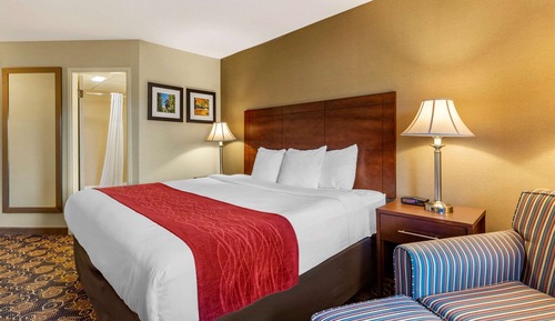 Standard Room, 1 King Bed, Non Smoking