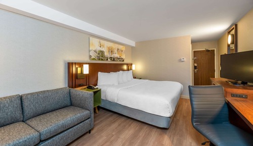 Room, 1 King Bed with Sofa bed, Accessible, Non Smoking