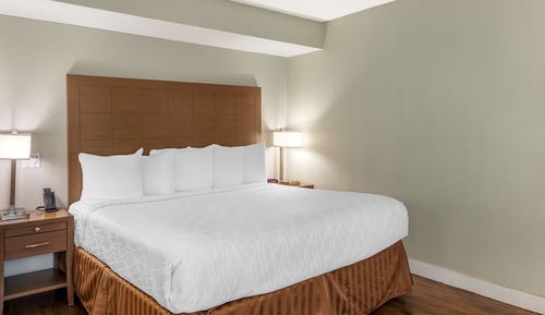 Standard Room, 1 King Bed, Non Smoking, Refrigerator & Microwave