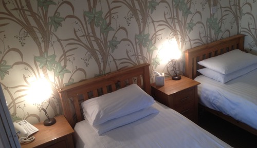 Standard Twin Room