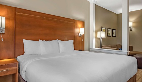 Suite, 1 King Bed with Sofa bed, Accessible, Non Smoking