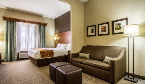 Suite, 1 King Bed with Sofa bed, Non Smoking