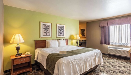 Business Room, 1 King Bed, Non Smoking