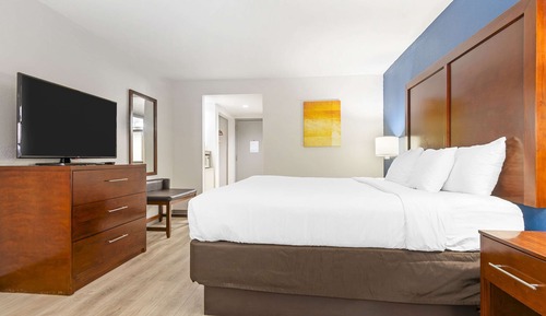 Standard Room, 1 King Bed, Non Smoking