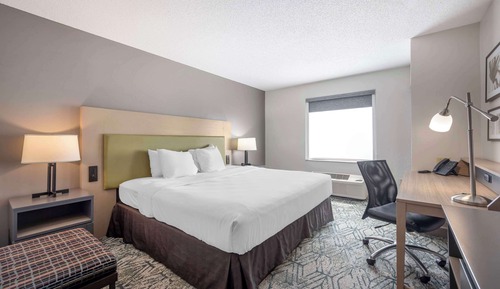 Room, 1 King Bed, Accessible, Non Smoking