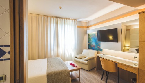 Classic Triple Room