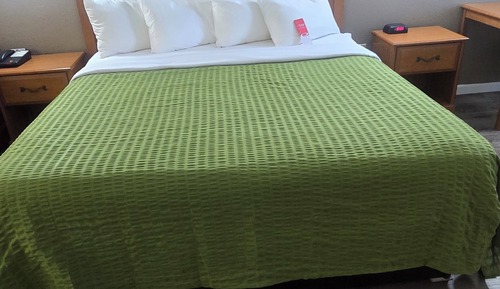 Room, 1 King Bed, Smoking