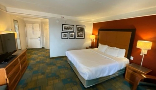 Room, 1 King Bed, Non Smoking