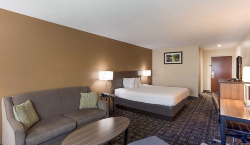 Executive Room, 1 King Bed with Sofa bed, Non Smoking, Refrigerator & Microwave (with Sofabed)
