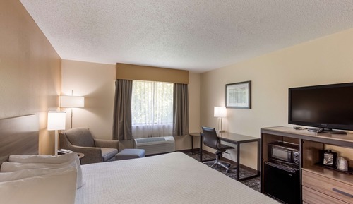 Standard Room, 1 King Bed, Accessible, Refrigerator & Microwave
