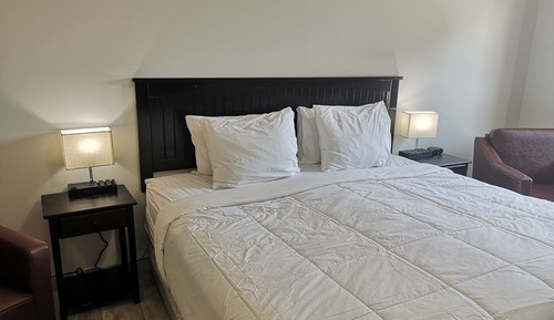 Room, 1 King Bed