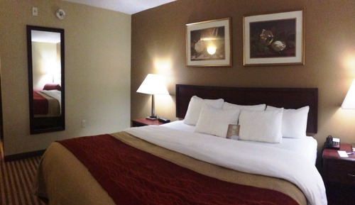 Standard Room, 1 King Bed, Non Smoking
