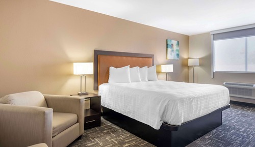 Standard Room, 1 King Bed, Accessible, Smoking