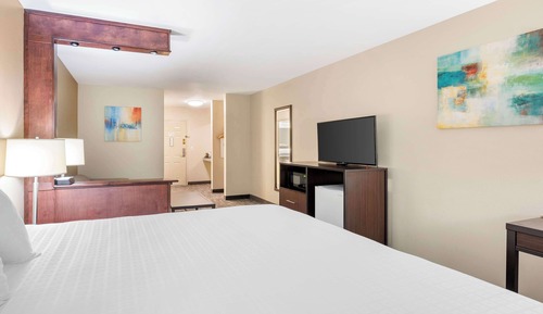 Suite, 1 King Bed, Non Smoking, Refrigerator & Microwave (with Single Sofabed)