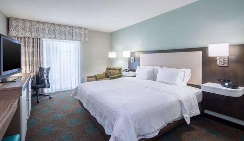 Room, 1 King Bed, Accessible, Bathtub (Mobility & Hearing)