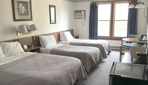 Room, 1 Double and 2 single beds (First floor, no stairs required)