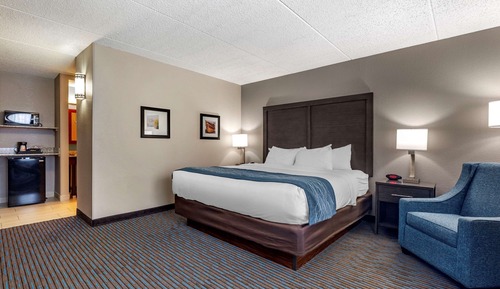 Standard Room, 1 King Bed, Non Smoking