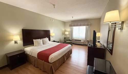 Room, 1 King Bed, Smoking