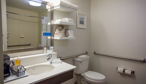 Room, 1 King Bed, Accessible, Non Smoking