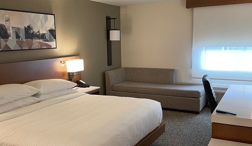 Room, 1 King Bed with Sofa bed