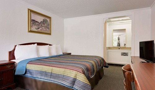 Room, 1 King Bed
