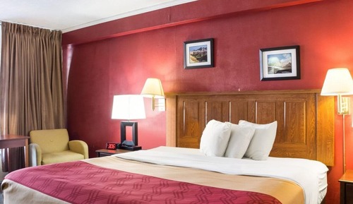 Standard Room, 1 King Bed, Non Smoking (No Pets)