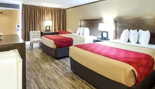 Standard Double Room, 2 Double Beds, Non Smoking (No Pets)