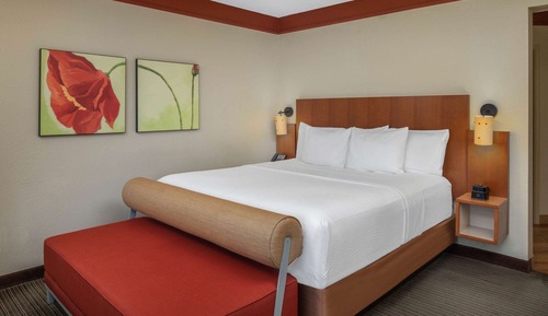 Room, 1 King Bed, Accessible, Non Smoking (Bathtub Grab Bars)