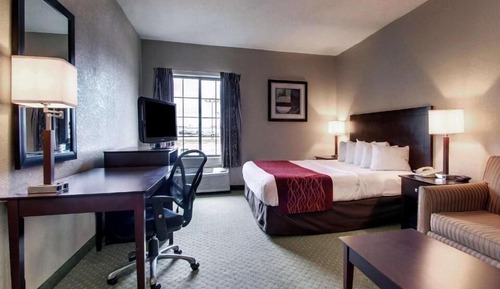Luxury Suite