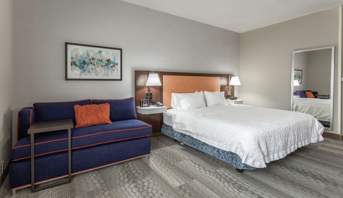 Room, 1 King Bed, Non Smoking