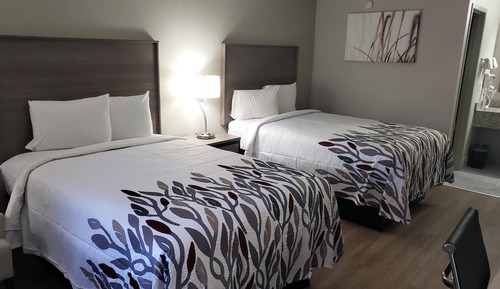 Deluxe Room, 2 Double Beds, Non Smoking