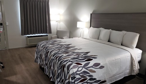 Superior Room, 1 King Bed, Accessible, Non Smoking