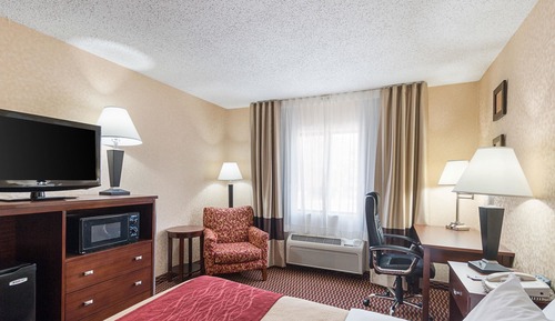 Standard Room, 1 King Bed, Non Smoking
