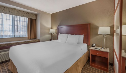 Dog Friendly Suite, 1 King Bed
