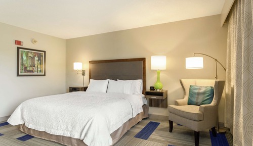 Room, 1 King Bed, Accessible, Bathtub