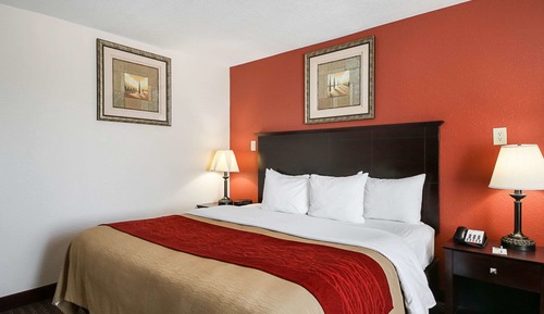 Standard Room, 1 King Bed, Non Smoking