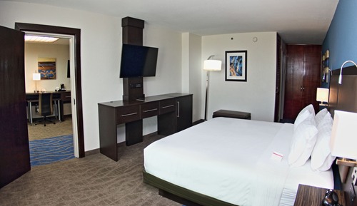 Suite, 1 King Bed
